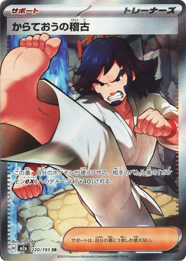 Black Belt's Training (JP) 220/193 - MEGA Dream ex (HO)