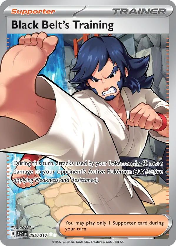 Black Belt's Training 255/217 - Ascended Heroes (HO)