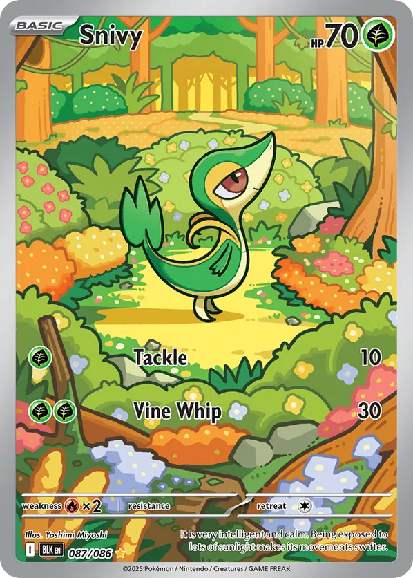 Snivy 087/086 - Black Bolt (HO)