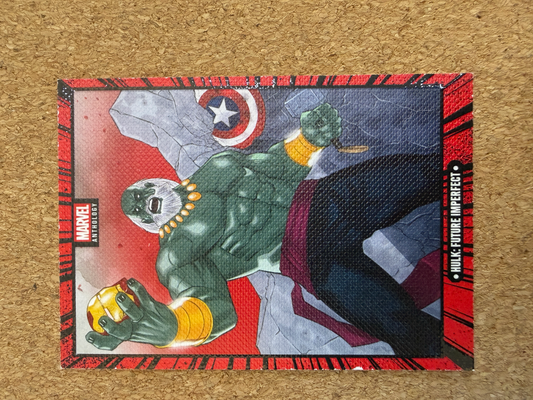 Hulk: Future Imperfect C9 Canvas