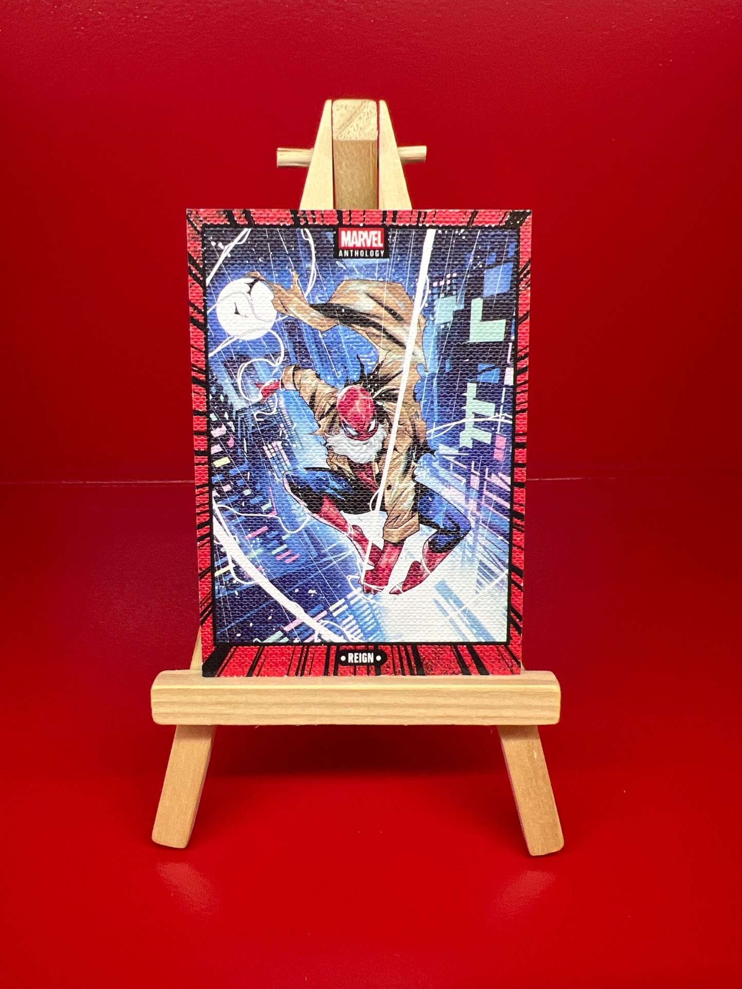 Reign C10 Canvas