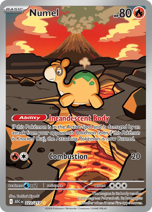 Numel 223/217 - Ascended Heroes (HO)