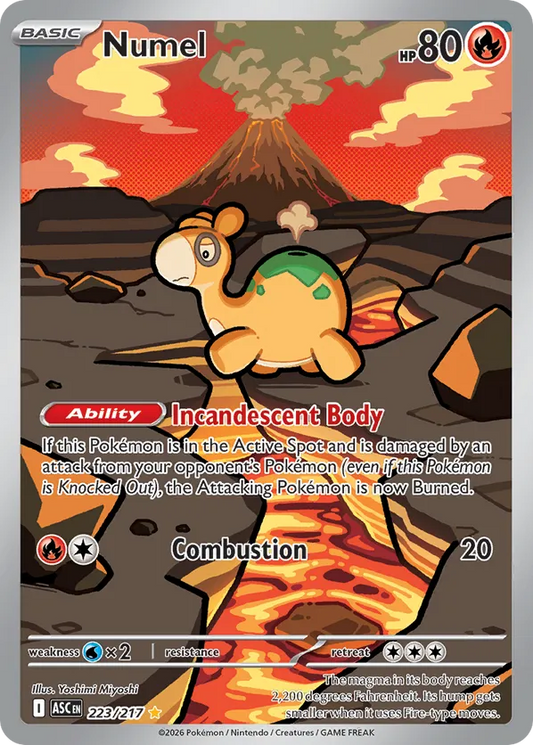 Numel 223/217 - Ascended Heroes (HO)