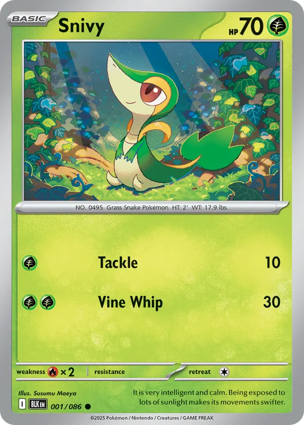 Snivy (Master Ball Pattern) 001/086 - Black Bolt (HO)