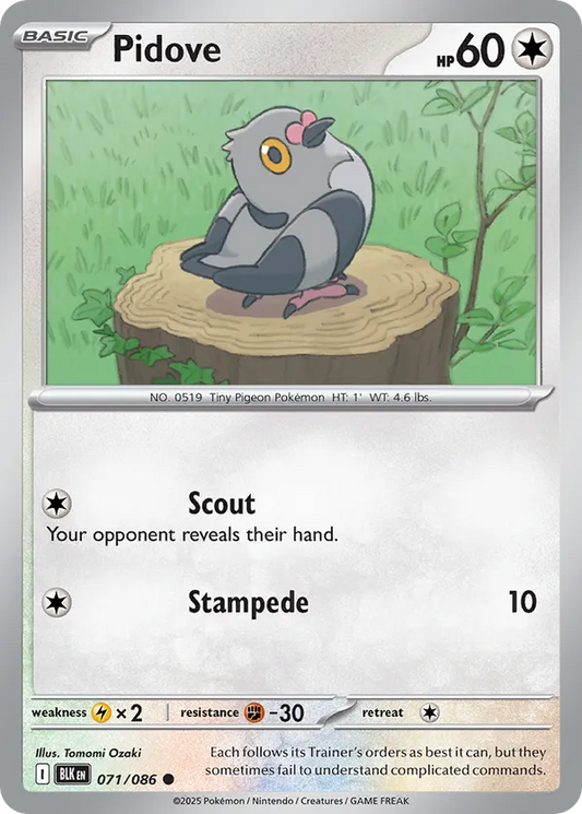 Pidove (Poke Ball Pattern) 071/086 - Black Bolt (HO)