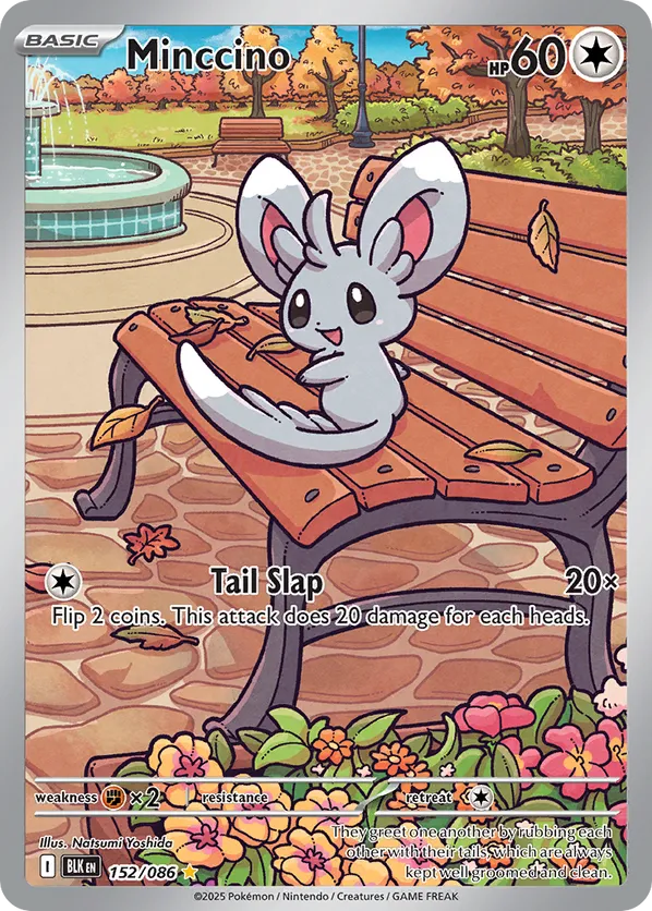 Minccino 152/086 - Black Bolt (HO)