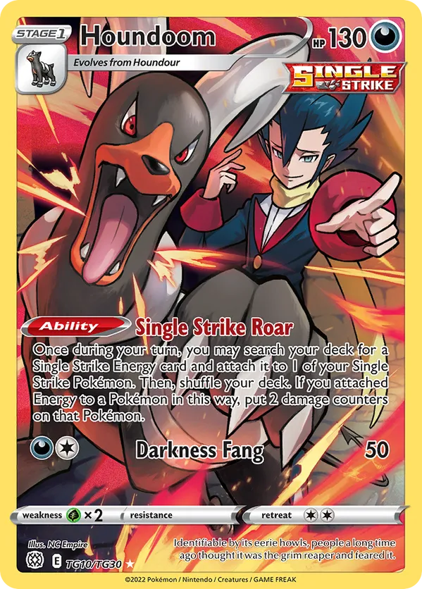 Houndoom TG10/TG30 - Brilliant Stars Trainer Gallery (HO)
